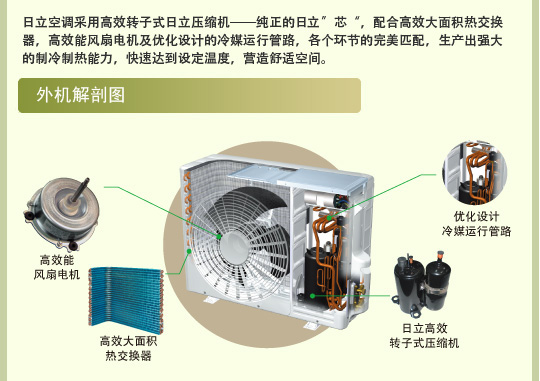 榴莲APP旧版福引导入口连接特性